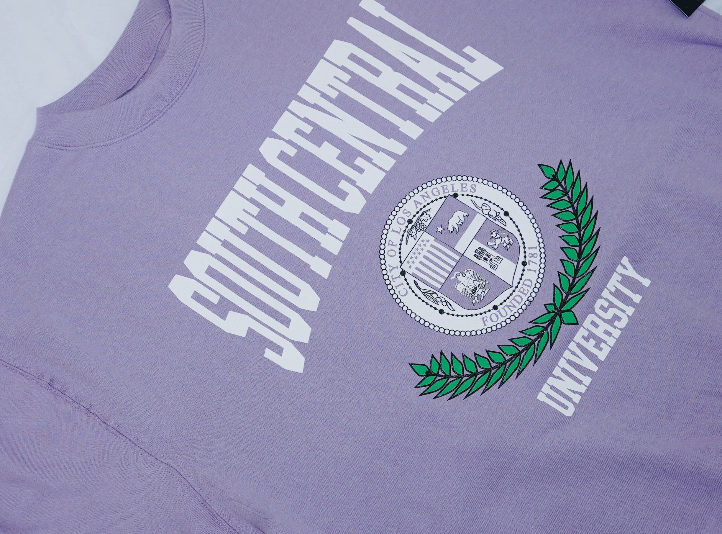 South Central University Crewneck