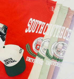 South Central University Crewneck